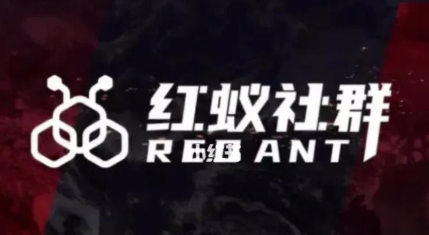 社群运营：红蚁社群【48节落地系统课程+2000人高端社群】-赚金金-技能学习分享
