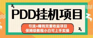 拼多多挂机项目引流+赚钱双重收益项目(保姆级教程小白可上手实操)【揭秘】-赚金金-技能学习分享