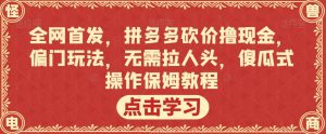 全网首发,拼多多砍价撸现金,偏门玩法,无需拉人头,傻瓜式操作保姆教程【揭秘】-赚金金-技能学习分享