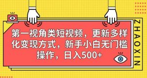 第一视角类短视频，更新多样化变现方式，新手小白无门槛操作，日入500+【揭秘】-赚金金-技能学习分享
