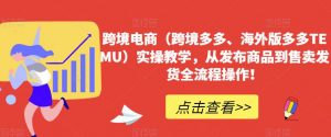 跨境电商(跨境多多、海外版多多TEMU)实操教学,从发布商品到售卖发货全流程操作!-赚金金-技能学习分享
