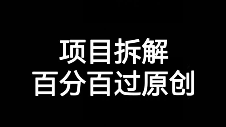项目拆解赛道百分百过原创【揭秘】-赚金金-技能学习分享