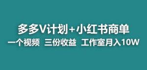 【蓝海项目】多多v计划+小红书商单一个视频三份收益工作室月入10w-赚金金-技能学习分享