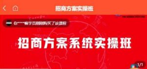 【一度招商】招商方案系统实操班 价值1980元-赚金金-技能学习分享