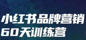 小红书品牌60天训练营第6期,GMV2亿级品牌老板都在学,教会你内容营销底层逻辑-赚金金-技能学习分享