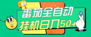 番茄全自动挂机日入50+,软件全自动,多号破百【揭秘】-赚金金-技能学习分享