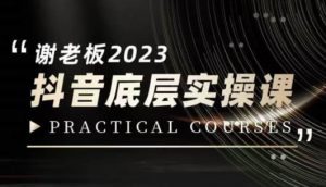 蟹老板·2023抖音底层实操课,打造短视频的底层认知-赚金金-技能学习分享