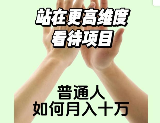 2023最火项目：站在更高维度看待项目，普通人如何月入十万【揭秘】-赚金金-技能学习分享