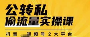 群响公转私偷流量实操课,致力于拥有更多自持,持续,稳定,精准的私域流量!-赚金金-技能学习分享