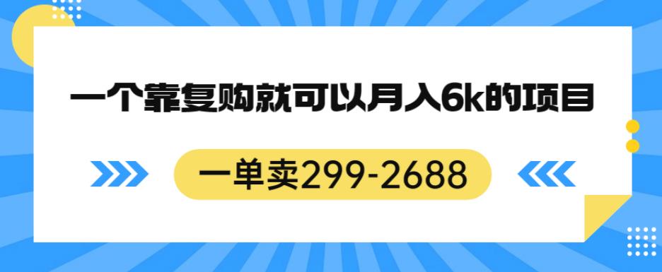一单卖299-2688，一个靠复购就可以月入6k的暴利项目【揭秘】-赚金金-技能学习分享