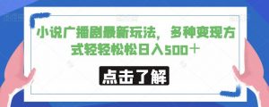 小说广播剧最新玩法,多种变现方式轻轻松松日入500+【揭秘】-赚金金-技能学习分享
