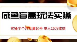 独家首发咸鱼盲盒玩法实操,半个月批量起号单人15万收益【揭秘】-赚金金-技能学习分享