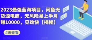 2023最强蓝海项目,闲鱼无货源电商,无风险易上手月赚10000,见效快【揭秘】-赚金金-技能学习分享