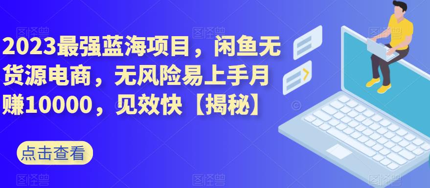 2023最强蓝海项目，闲鱼无货源电商，无风险易上手月赚10000，见效快【揭秘】-赚金金-技能学习分享