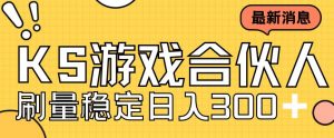 快手游戏合伙人新项目,新手小白也可日入300+,工作室可大量跑-赚金金-技能学习分享