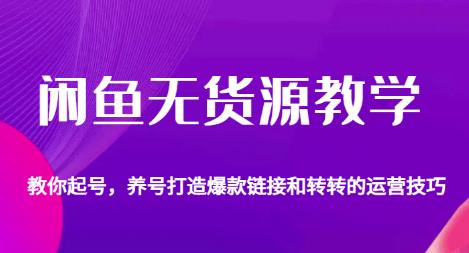 闲鱼无货源教学，教你起号，养号打造爆款链接以及转转的运营技巧-赚金金-技能学习分享