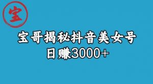 宝哥揭秘抖音美女号玩法，日赚3000+【揭秘】-赚金金-技能学习分享