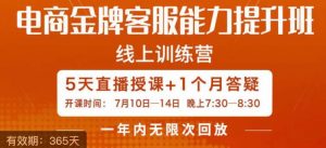 电商金牌客服能力提升班,提升客服能力是你店铺业绩的关键要素-赚金金-技能学习分享