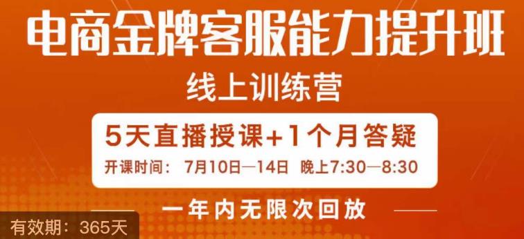 电商金牌客服能力提升班，提升客服能力是你店铺业绩的关键要素-赚金金-技能学习分享