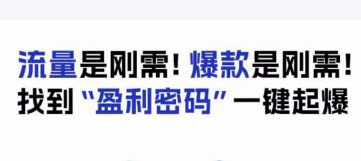 电商盈利精品课：6大盈利密码让产品更好卖，流量是刚需！爆款是刚需！找到”盈利密码”一键起爆-赚金金-技能学习分享