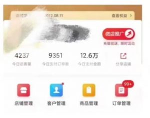 节日红利项目,微信红包封面,操作简单,利用好红利期日入2000+【揭秘】-赚金金-技能学习分享