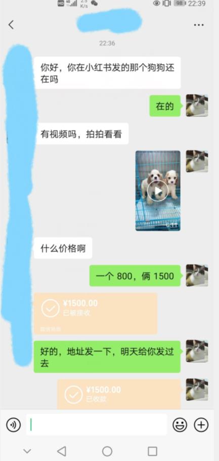 外边收费3980的同城萌宠项目，用最冷门的玩法冲击最热门的市场【揭秘】-赚金金-技能学习分享
