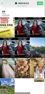 外面收费198的最新视频号连怼技术,条条原创,条条爆单【揭秘】-赚金金-技能学习分享