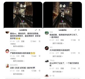 副业拆解:抖音杰伦音乐号涨粉变现项目,视频版一条龙实操玩法分享给你-赚金金-技能学习分享