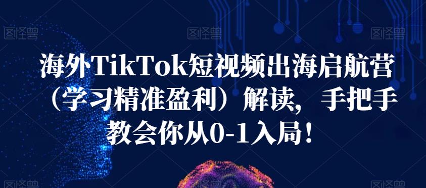 海外TikTok短视频出海启航营（学习精准盈利）解读，手把手教会你从0-1入局！-赚金金-技能学习分享