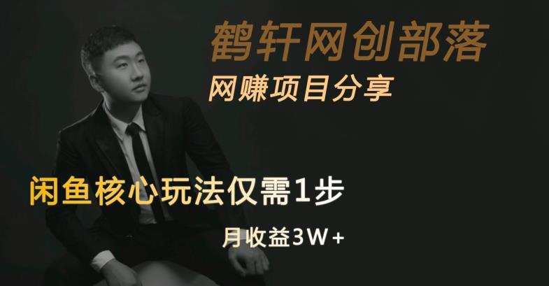 闲鱼核心玩法不卖货也能1年变现20W，玩法简单-赚金金-技能学习分享