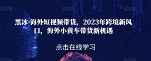 黑冰·海外短视频带货，2023年跨境新风口，海外小黄车带货新机遇-赚金金-技能学习分享