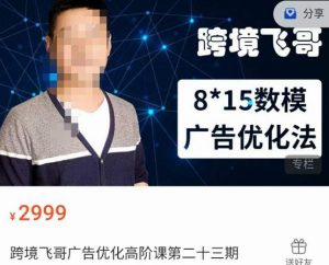 跨境飞哥·广告优化高阶课第二十三期,8*15数模广告优化法,用数据驱动决策-赚金金-技能学习分享