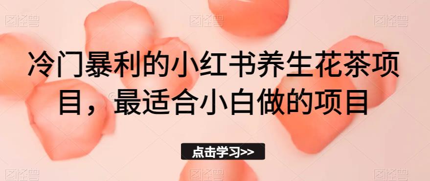 冷门暴利的小红书养生花茶项目，最适合小白做的项目【揭秘】-赚金金-技能学习分享