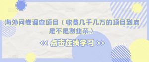 海外问卷调查项目(收费几千几万的项目到底是不是割韭菜)【揭秘】-赚金金-技能学习分享