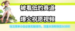 被看低的赛道爆火祝愿视频,玩法简单小白必做无脑操作,流量大涨粉快日入500-赚金金-技能学习分享