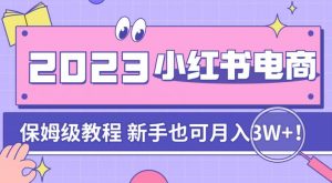 阿本小红书电商陪跑营4.0,带大家从0到1把小红书做起来-赚金金-技能学习分享