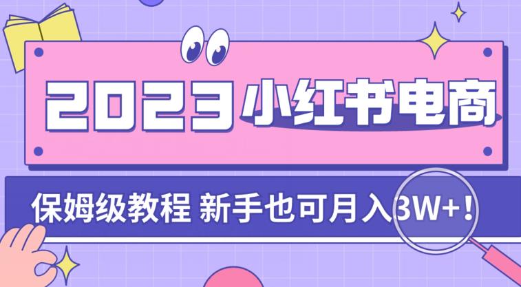 阿本小红书电商陪跑营4.0，带大家从0到1把小红书做起来-赚金金-技能学习分享
