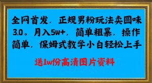 全网首发正规男粉玩法卖圆味3.0,月入5W+,简单粗暴,操作简单,保姆式教学,小白轻松上手-赚金金-技能学习分享