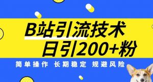B站引流技术:每天引流200精准粉,简单操作,长期稳定,规避风险-赚金金-技能学习分享