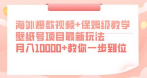 海外爆款视频+保姆级教学，壁纸号项目最新玩法，月入10000+教你一步到位【揭秘】-赚金金-技能学习分享