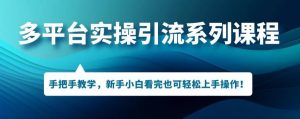 多平台引流实操系列课程,新手小白看完也可轻松上手进行引流操作-赚金金-技能学习分享
