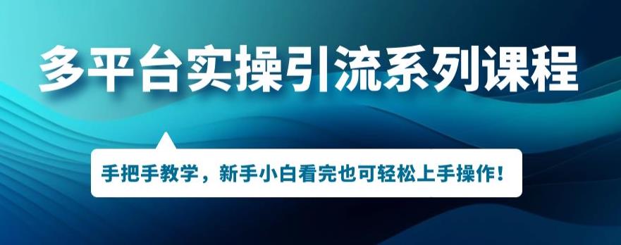 多平台引流实操系列课程，新手小白看完也可轻松上手进行引流操作-赚金金-技能学习分享