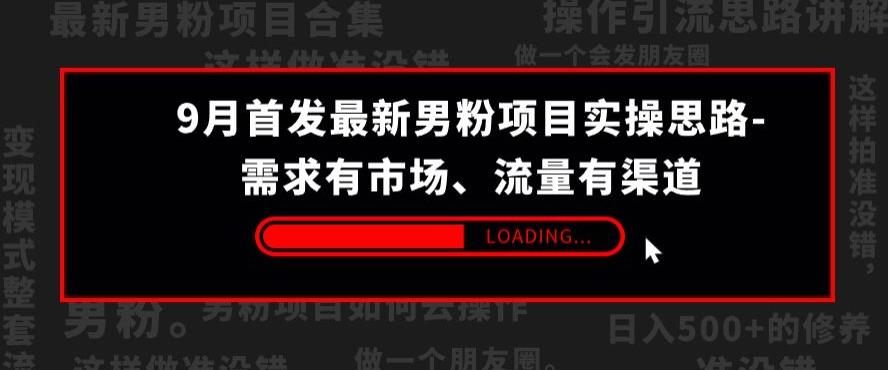9月首发最新男粉项目实操思路-需求有市场，流量有渠道【揭秘】-赚金金-技能学习分享