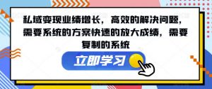 私域变现业绩增长,高效的解决问题,需要系统的方案快速的放大成绩,需要复制的系统-赚金金-技能学习分享