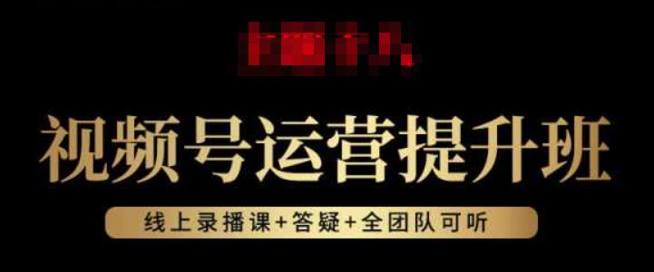 视频号运营提升班：视频号起号逻辑，视频号选品技巧及带货-赚金金-技能学习分享