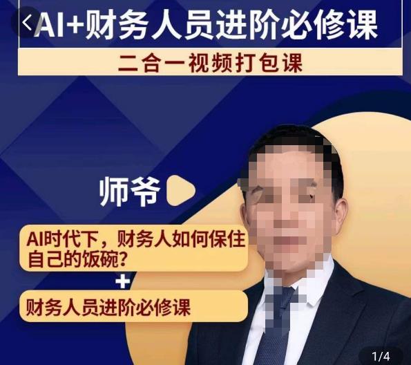 AI+财务人员进阶必修课二合一视频打包课，财务人员进阶必修课-赚金金-技能学习分享