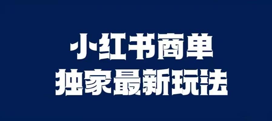 小红书商单最新独家玩法，剪辑时间短，剪辑难度低，能批量做号【揭秘】-赚金金-技能学习分享