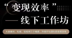 变现效率线下工作坊,从播直间、私域、视短频个三维度,升级IP和团队变现效率-赚金金-技能学习分享