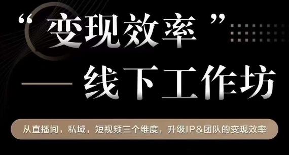 变现效率线下工作坊，从‮播直‬间、私域、‮视短‬频‮个三‬维度，升级IP和团队变现效率-赚金金-技能学习分享