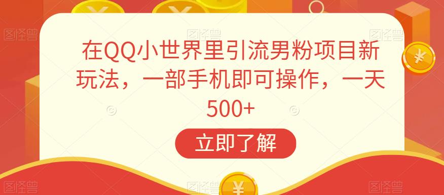 在QQ小世界里引流男粉项目新玩法，一部手机即可操作，一天500+【揭秘】-赚金金-技能学习分享
